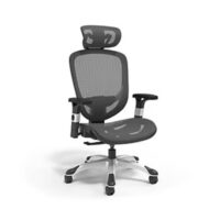 Hyken Ergonomic Mesh Swivel Task Chair